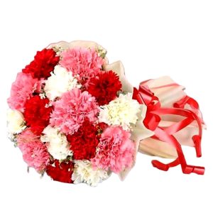 10 mixed carnations bouquet